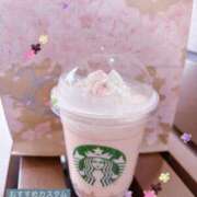 ヒメ日記 2025/02/20 10:00 投稿 なみか 横浜ミセスアロマ（ユメオト）