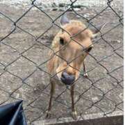 ヒメ日記 2025/06/17 22:49 投稿 なみか 横浜ミセスアロマ（ユメオト）