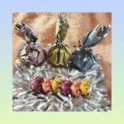 ヒメ日記 2026/03/15 08:02 投稿 なみか 横浜ミセスアロマ（ユメオト）