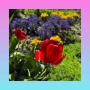 なみか 4月17日のお礼 横浜ミセスアロマ（ユメオト）