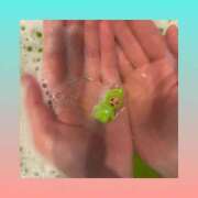 なみか シュワシュワ🫧 横浜ミセスアロマ（ユメオト）