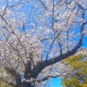 ヒメ日記 2025/04/14 09:59 投稿 ことね 池袋西口でSUGEEE求められる俺のカラダ