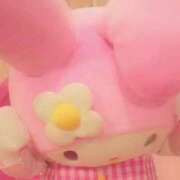 ヒメ日記 2025/05/10 13:23 投稿 まいか アラモード