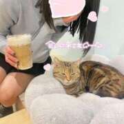 ヒメ日記 2025/06/12 04:11 投稿 なぎさ 静岡ハンパじゃない伝説