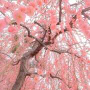 ヒメ日記 2025/03/15 15:14 投稿 りえ CLUB DEEP