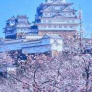 ヒメ日記 2025/05/08 10:34 投稿 りえ CLUB DEEP