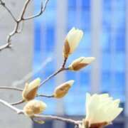 ヒメ日記 2026/04/14 10:44 投稿 りえ CLUB DEEP