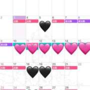 ヒメ日記 2025/02/03 14:52 投稿 べに 奥様さくら難波店