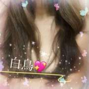 ヒメ日記 2025/01/15 02:32 投稿 白鳥　真理 こあくまな熟女たち 京都店(KOAKUMAグループ)