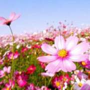 ヒメ日記 2025/01/06 17:27 投稿 八乙女 りょう Mの世界