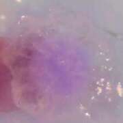 ヒメ日記 2025/02/13 08:46 投稿 アイス☆AF極みバニー☆ ドMなバニーちゃん 名古屋・池下店