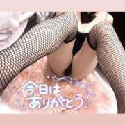 ヒメ日記 2025/02/18 01:36 投稿 アイス☆AF極みバニー☆ ドMなバニーちゃん 名古屋・池下店