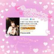 ヒメ日記 2025/03/09 01:56 投稿 アイス☆AF極みバニー☆ ドMなバニーちゃん 名古屋・池下店