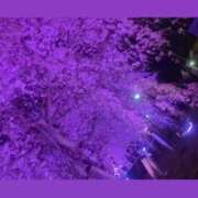 ヒメ日記 2025/04/10 01:56 投稿 アイス☆AF極みバニー☆ ドMなバニーちゃん 名古屋・池下店