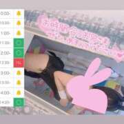 ヒメ日記 2025/05/07 10:47 投稿 アイス☆AF極みバニー☆ ドMなバニーちゃん 名古屋・池下店