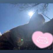 ヒメ日記 2025/08/07 07:47 投稿 アイス☆AF極みバニー☆ ドMなバニーちゃん 名古屋・池下店