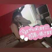 ヒメ日記 2025/08/11 10:25 投稿 アイス☆AF極みバニー☆ ドMなバニーちゃん 名古屋・池下店