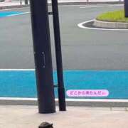 ヒメ日記 2025/09/06 07:07 投稿 アイス☆AF極みバニー☆ ドMなバニーちゃん 名古屋・池下店