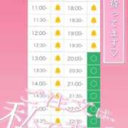 ヒメ日記 2025/09/11 10:47 投稿 アイス☆AF極みバニー☆ ドMなバニーちゃん 名古屋・池下店