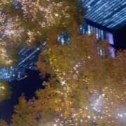 ヒメ日記 2025/11/27 13:10 投稿 アイス☆AF極みバニー☆ ドMなバニーちゃん 名古屋・池下店