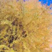 ヒメ日記 2025/12/03 10:57 投稿 アイス☆AF極みバニー☆ ドMなバニーちゃん 名古屋・池下店