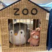 ヒメ日記 2026/02/19 16:47 投稿 アイス☆AF極みバニー☆ ドMなバニーちゃん 名古屋・池下店