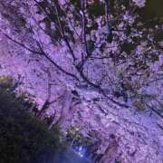 ヒメ日記 2026/03/31 10:37 投稿 アイス☆AF極みバニー☆ ドMなバニーちゃん 名古屋・池下店