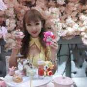 ヒメ日記 2025/02/08 16:14 投稿 山本美羽子 五十路マダムエクスプレス船橋店(カサブランカグループ)