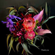 ヒメ日記 2025/02/02 02:10 投稿 光(ひかる) Chaleur (シャルール)