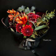 ヒメ日記 2025/02/08 01:29 投稿 光(ひかる) Chaleur (シャルール)