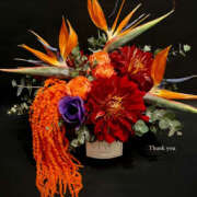 ヒメ日記 2025/02/22 23:22 投稿 光(ひかる) Chaleur (シャルール)