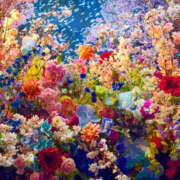 ヒメ日記 2025/02/28 11:21 投稿 光(ひかる) Chaleur (シャルール)