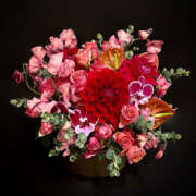 ヒメ日記 2025/03/01 18:01 投稿 光(ひかる) Chaleur (シャルール)