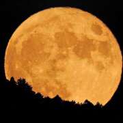 ヒメ日記 2025/11/06 07:42 投稿 光(ひかる) Chaleur (シャルール)