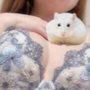 ヒメ日記 2025/08/05 20:35 投稿 心咲(こころ) 神戸泡洗体ハイブリッドエステ