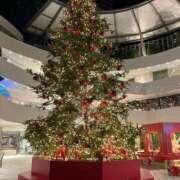 ヒメ日記 2025/12/25 16:16 投稿 ちあき 妻天 京橋店