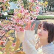 ヒメ日記 2025/02/21 14:10 投稿 みこ ピンクハウス（横浜）