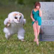 ヒメ日記 2025/02/28 14:30 投稿 みこ ピンクハウス（横浜）