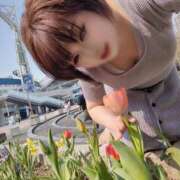 ヒメ日記 2025/03/27 09:30 投稿 みこ ピンクハウス（横浜）