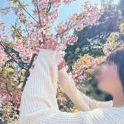 ヒメ日記 2025/03/31 14:20 投稿 みこ ピンクハウス（横浜）