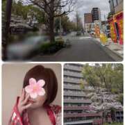 ヒメ日記 2025/03/31 17:30 投稿 みこ ピンクハウス（横浜）