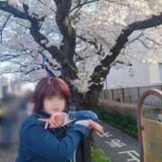 ヒメ日記 2025/04/06 13:35 投稿 みこ ピンクハウス（横浜）