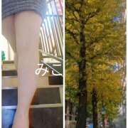 ヒメ日記 2025/11/17 12:35 投稿 みこ ピンクハウス（横浜）