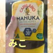 ヒメ日記 2025/11/24 16:45 投稿 みこ ピンクハウス（横浜）