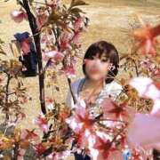 ヒメ日記 2026/02/04 13:15 投稿 みこ ピンクハウス（横浜）