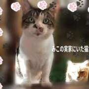 ヒメ日記 2026/02/22 12:40 投稿 みこ ピンクハウス（横浜）