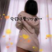 ヒメ日記 2025/03/08 10:08 投稿 森下みさと 五十路マダム 岐阜店