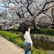 ヒメ日記 2025/02/27 07:06 投稿 ラピス バニーコレクション秋田店