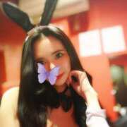 ヒメ日記 2025/03/24 12:06 投稿 ラピス バニーコレクション秋田店