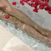 ヒメ日記 2025/04/27 18:06 投稿 ラピス バニーコレクション秋田店